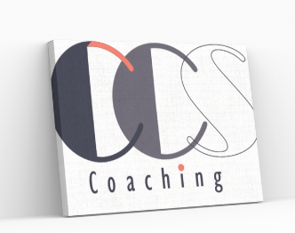 CCS-coaching Viviane Frappreau